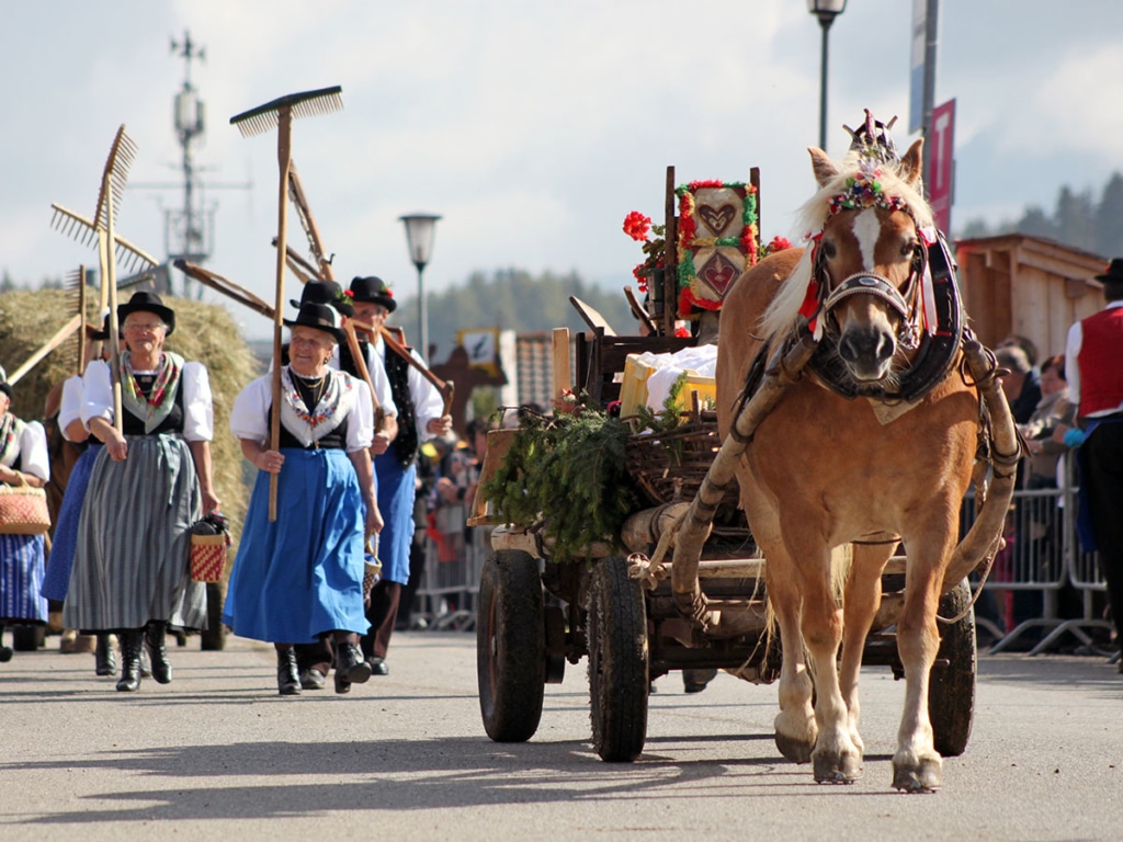 horses-castelrotto