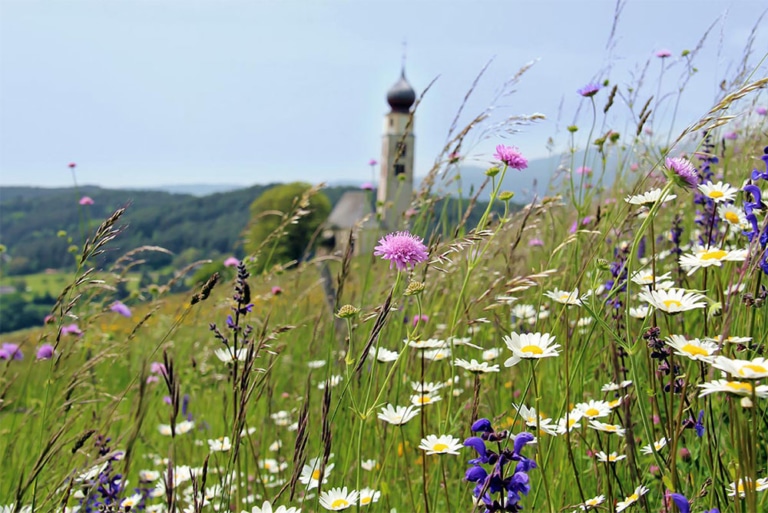 angebot-fruehling-kastelruth