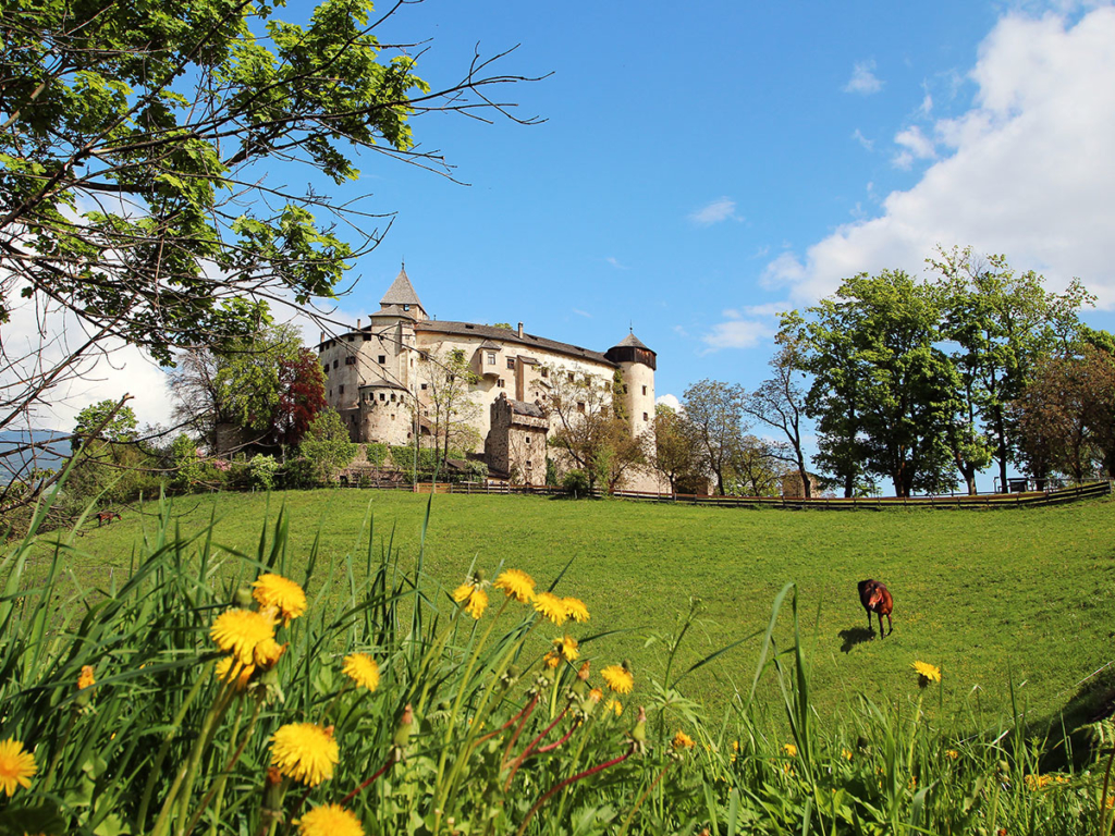 schloss-proesels-fruehling