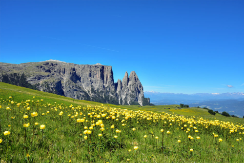 Alpe di Siusi