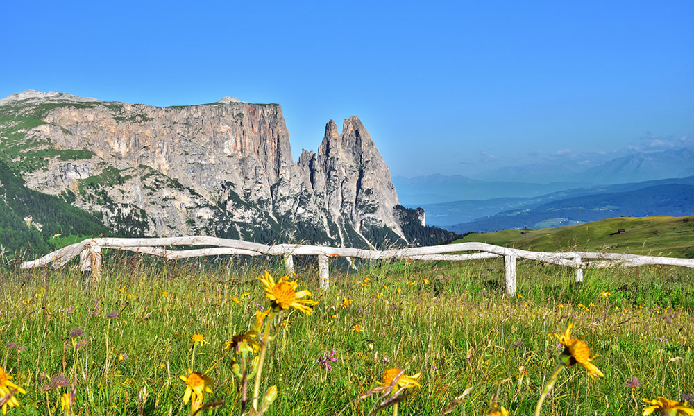 holidays-alpe-di-siusi-dolomites